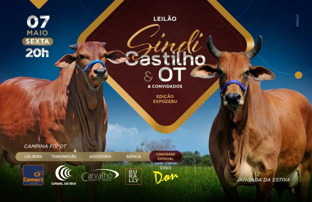 Banner da plataforma PR Leilões